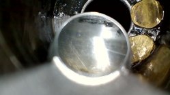 IMG_1755.jpeg