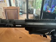IMG_1688.jpeg