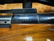 IMG_7070.jpeg