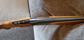 20240420_093035.jpg