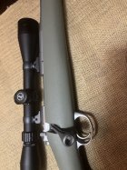 IMG_7763.jpeg