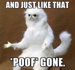 ## POOF GONE.jpg