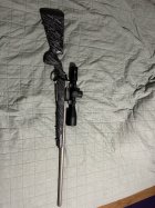 IMG_1016.jpeg