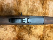 IMG_7108.jpeg