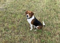 IMG_3555.jpeg