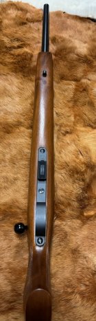 IMG_7147.jpeg