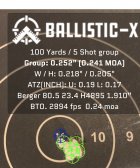 Ballistic-X-Export-2023-05-18 22:19:51.698285.jpg
