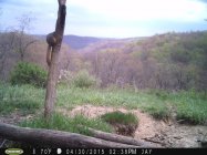 IMG_0480.jpeg