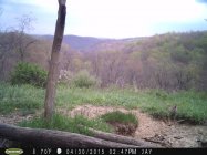 IMG_0481.jpeg