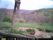 IMG_0482.jpeg