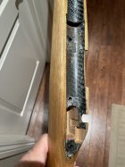 IMG_3295.jpeg