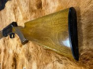 IMG_7179.jpeg