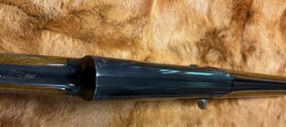 IMG_7184.jpeg