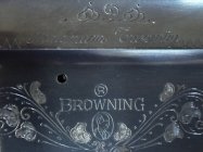 IMG_7189.jpeg