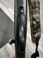 IMG_5883.jpeg