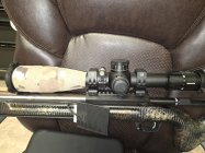 ZP5 1.jpg