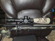 ZP5 2.jpg