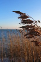 IMG_5051.jpeg
