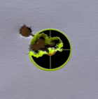 6BR 5 shot.png