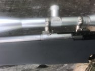 IMG_5729.jpeg