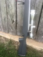IMG_5730.jpeg
