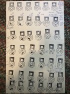 IMG_6799.jpeg