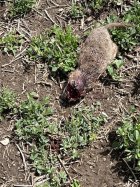 IMG_0386.jpeg