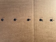 IMG_2119.jpeg