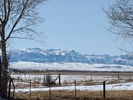 IMG_20240309_114830702.jpg