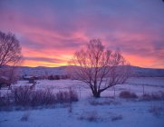 IMG_20240218_070044305.jpg