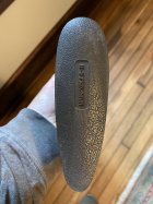 IMG_2954.jpeg