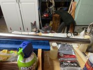 IMG_1449.jpeg
