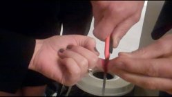 Roy's finger.jpg