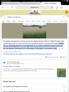 IMG_0627.png