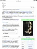 IMG_0626.png