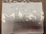 20240508_053711.jpg