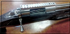 rifle 2.jpg