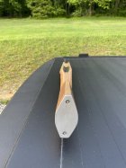 IMG_2952.jpeg