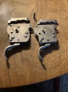 IMG_2975.jpeg