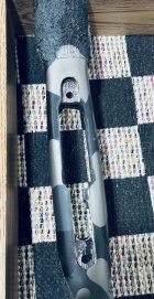 IMG_7019.jpeg