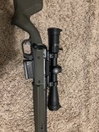 IMG_7494.jpeg