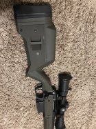 IMG_7495.jpeg
