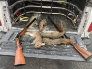 IMG_3327.jpeg