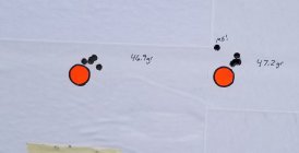 20240515_083859~2.jpg