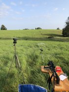 IMG_3976.JPEG