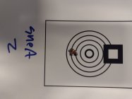 IMG_20240516_173358241.jpg