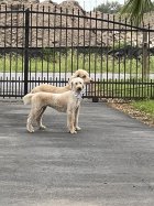 IMG_6584.jpeg