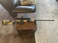 IMG_1564.jpeg