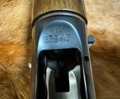 IMG_7387.jpeg