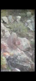 Screenshot_20240521_120540_Video Player.jpg